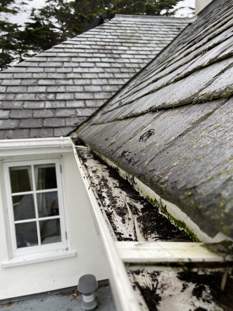 Gutter clearing job over a extension (after)