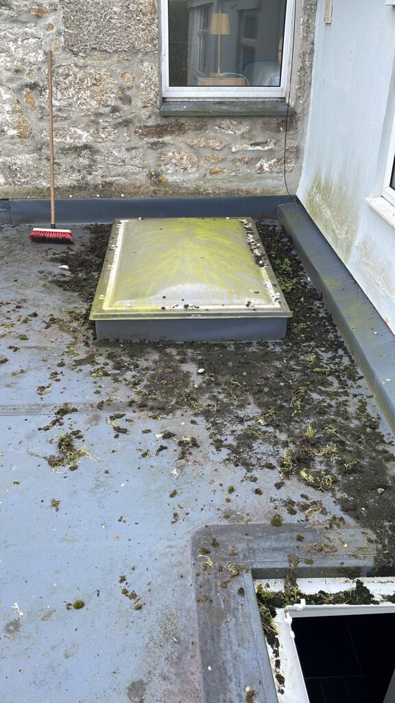 Soft washing and moss clearing around the back of of a property (before)