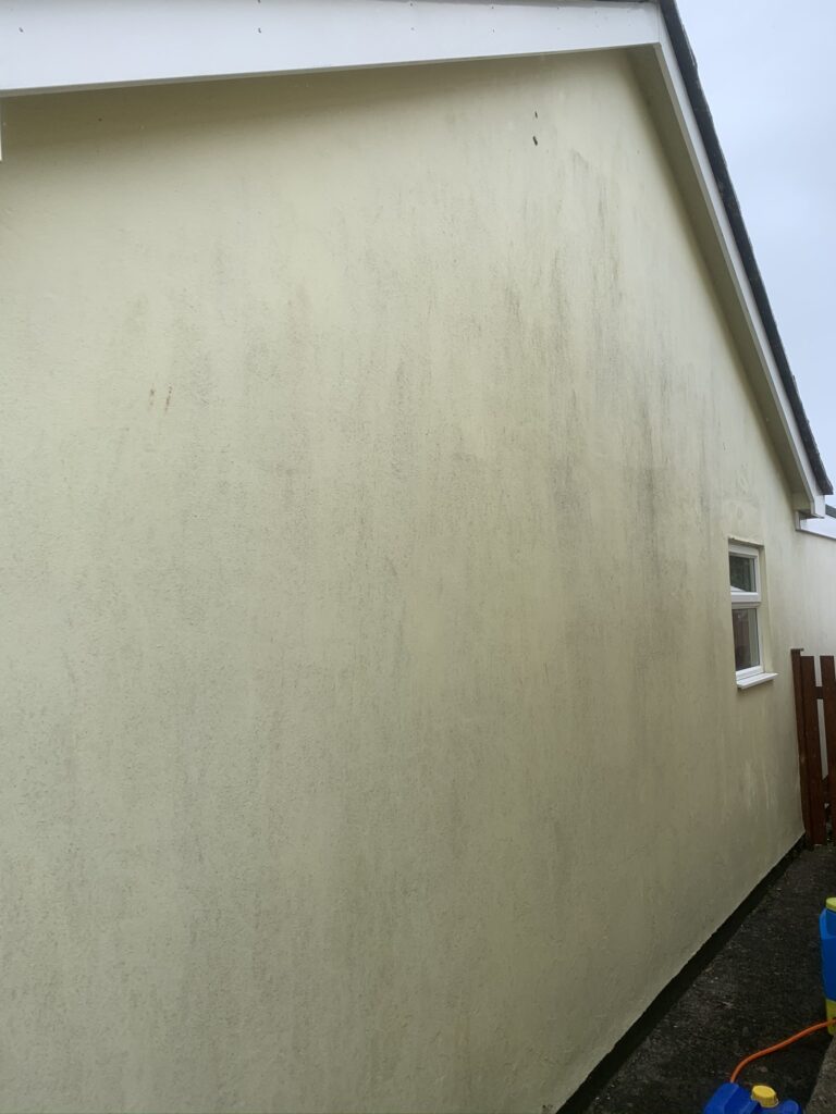 Bungalow Side Wall before soft-washing