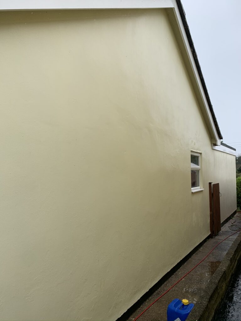 Bungalow Side Wall after soft-washing